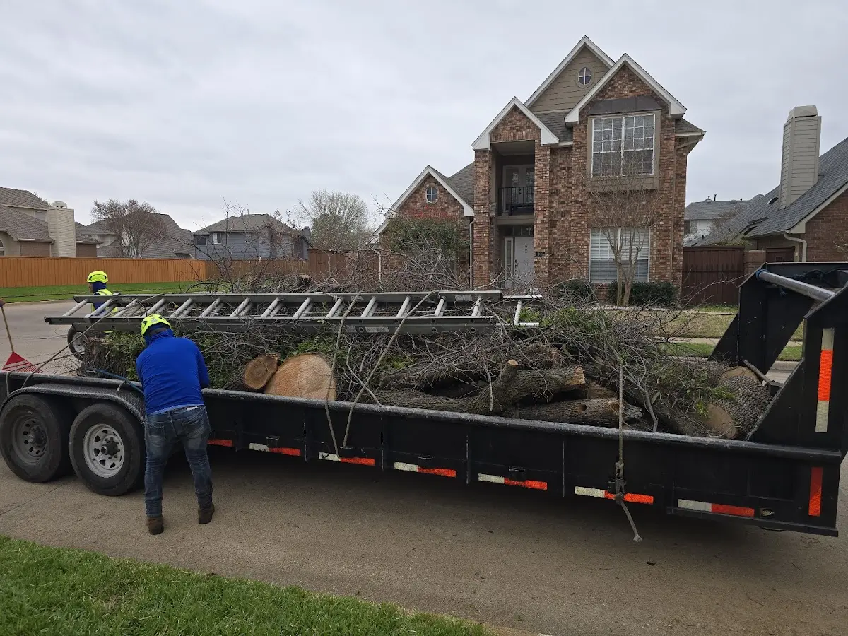 Expert Tree Fertilization with proper safety equipment in Hancock